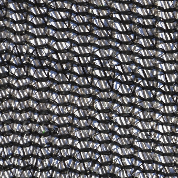 41211.jpg