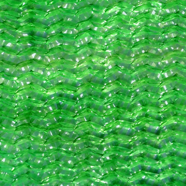 61211.jpg