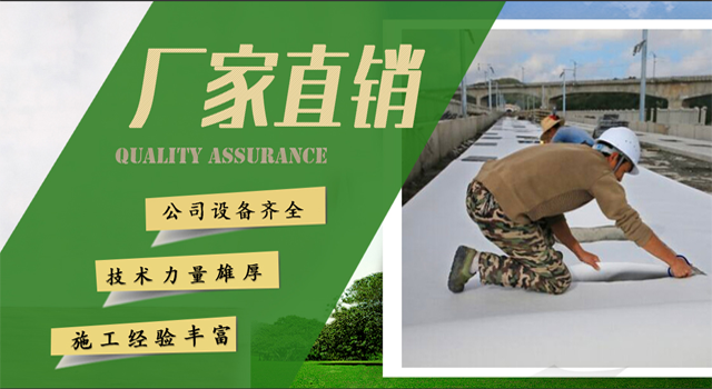 banner02.png banner02.png