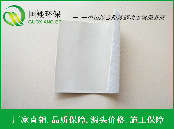 ����Ĥ11 ����.jpg